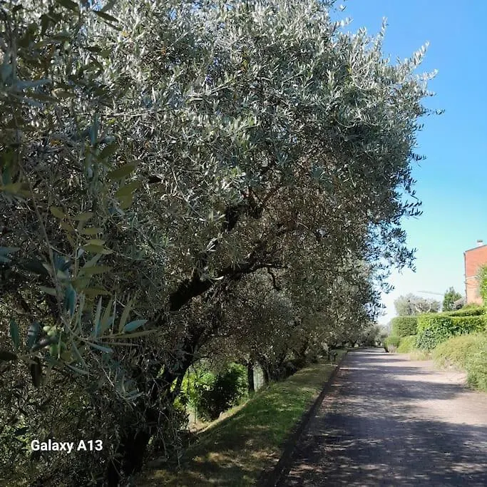 Casa Magnolia Apartment Valeggio sul Mincio